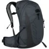L.L.Bean Osprey Talon 22 Liter EF Day Pack 2 L.L.Bean Osprey Talon 22 Liter EF Day Pack -L.L.Bean 520448 50583 41