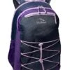 L.L.Bean 30 L Comfort Carry Laptop Pack -L.L.Bean 91zO51nDUvL. AC SR736920